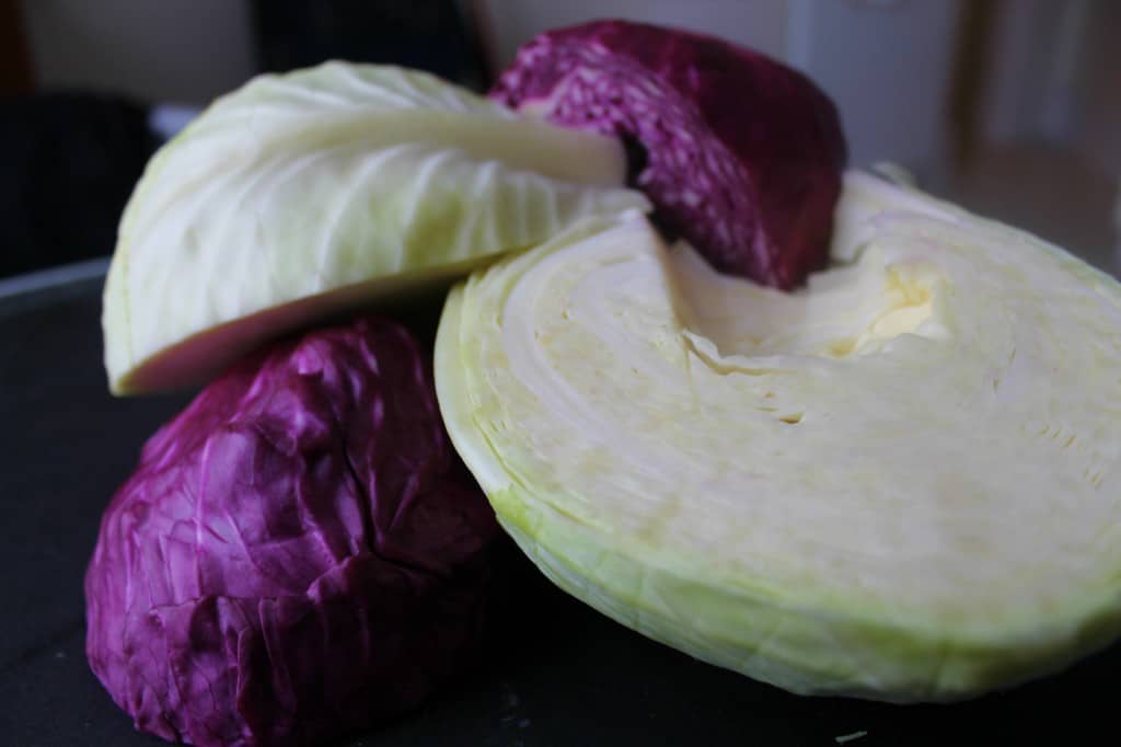 cabbage for the chopping heads of cabbage for quick-pickled sauerkraut