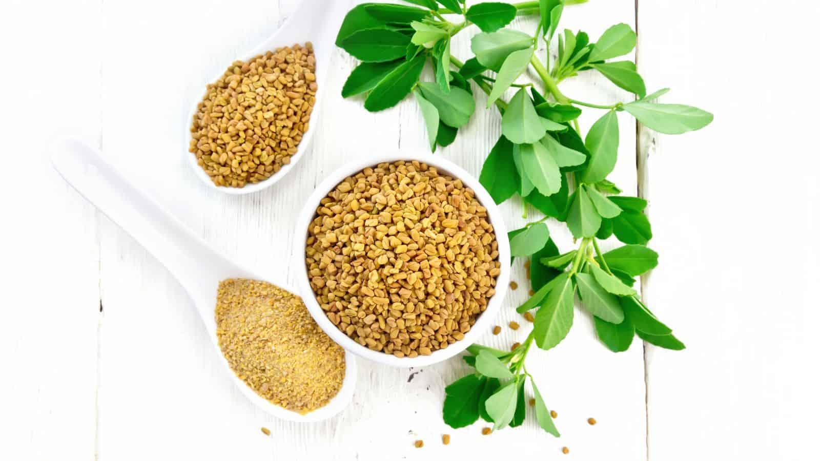A white table with two ceramic spoons and a small bowl filled with fenugreek seeds and powder, with green fenugreek leaves placed beside them.